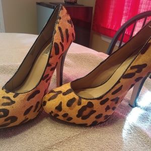 Leopard Print Steve Madden Heels